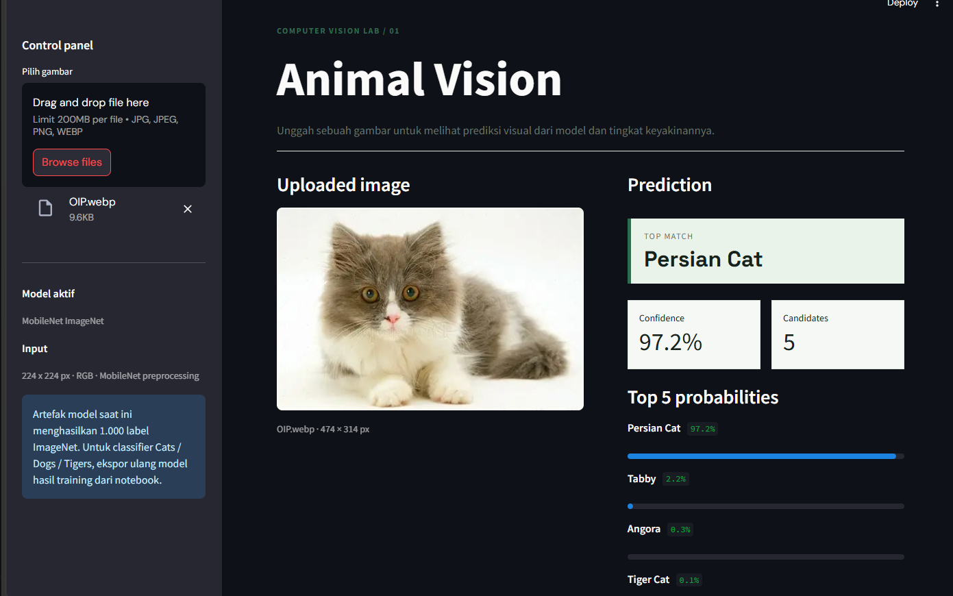 Animal Image Classification preview